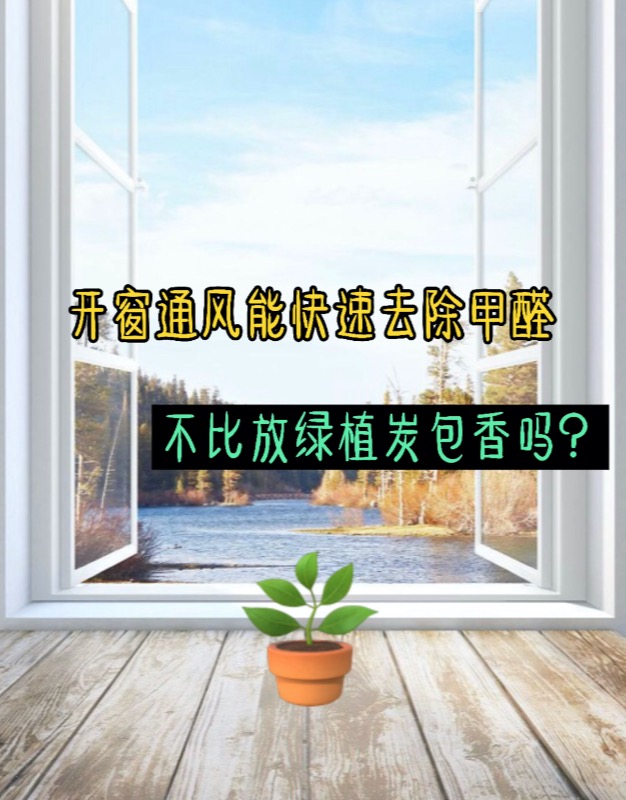 开窗通风能快速去除甲醛，不比放绿植炭包香吗？